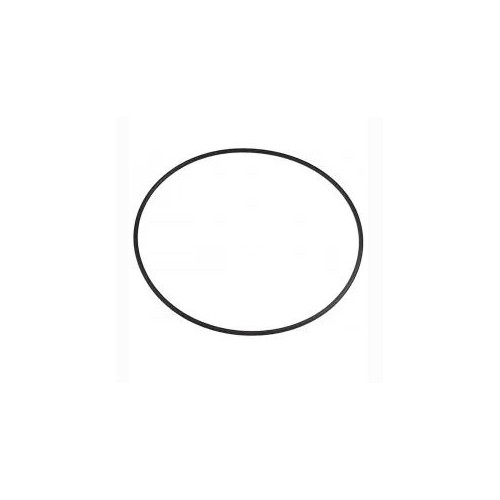 Orringue Tampa Bomba