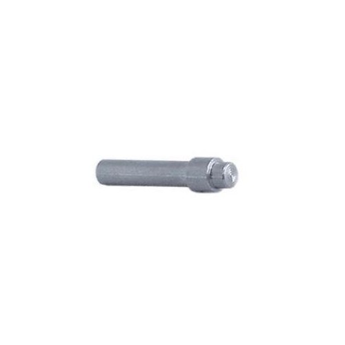 Perno Porta Inox